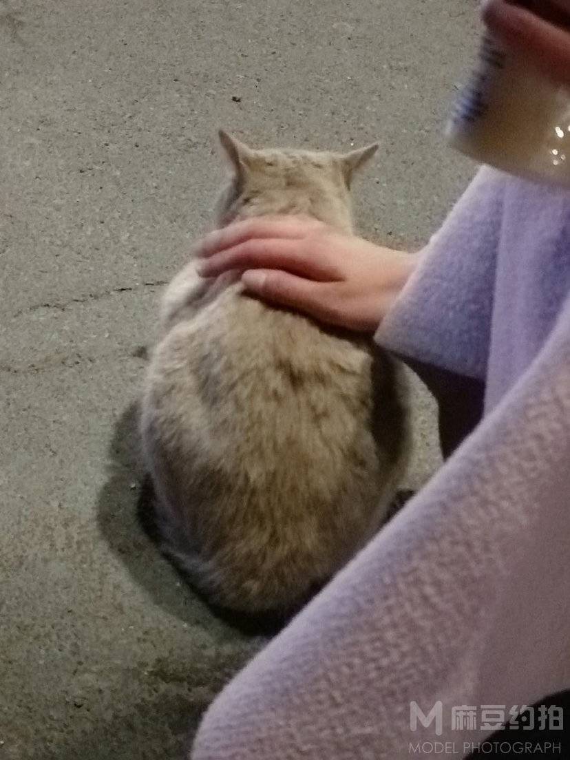 纪实模特