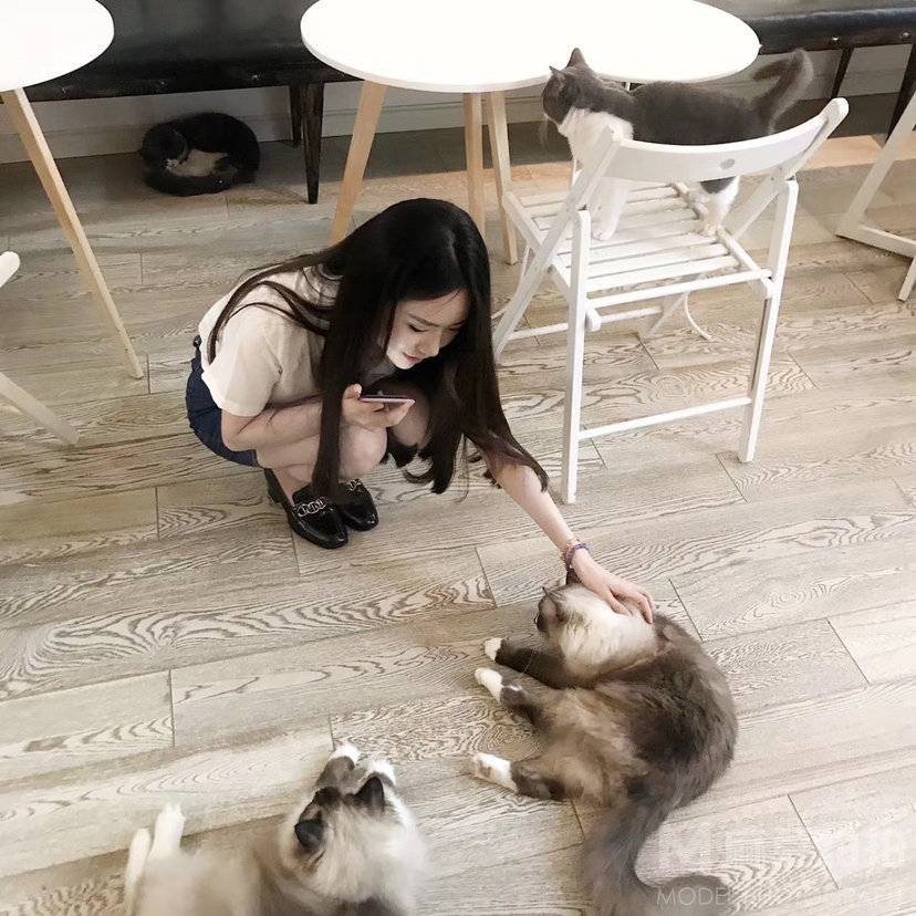 纪实模特