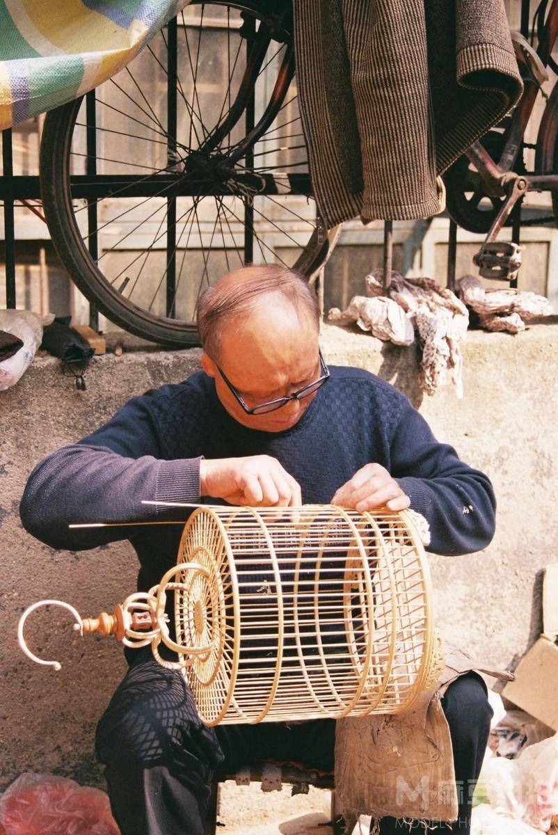 胶片模特