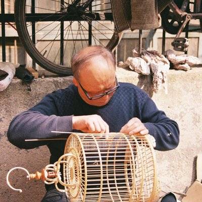 胶片模特