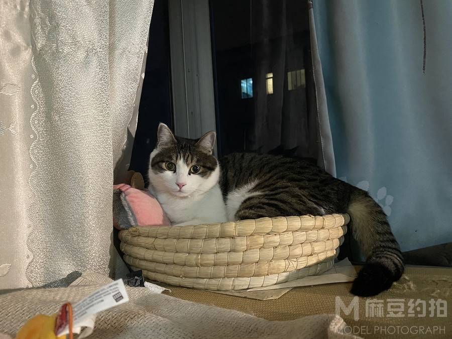 纪实模特