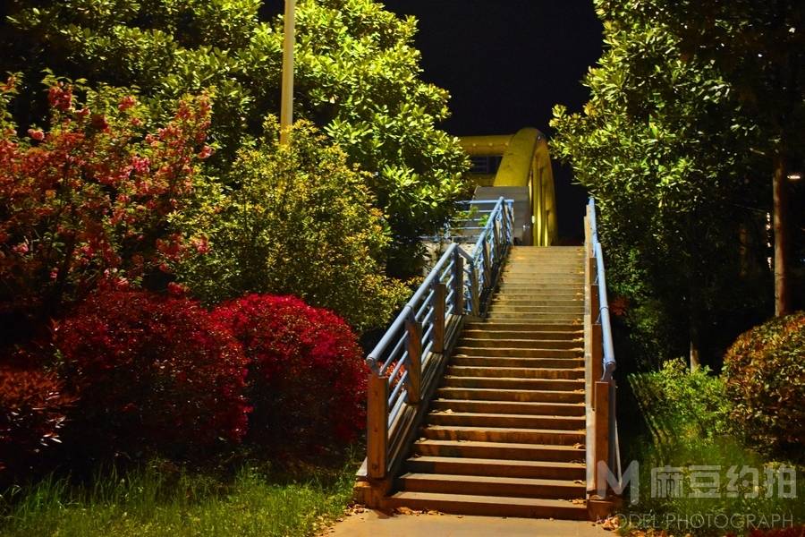 夜景模特
