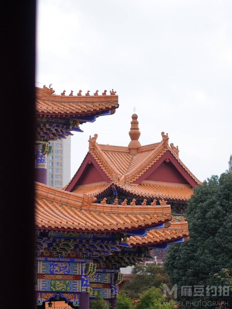 纪实模特