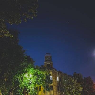 宝丽来模特