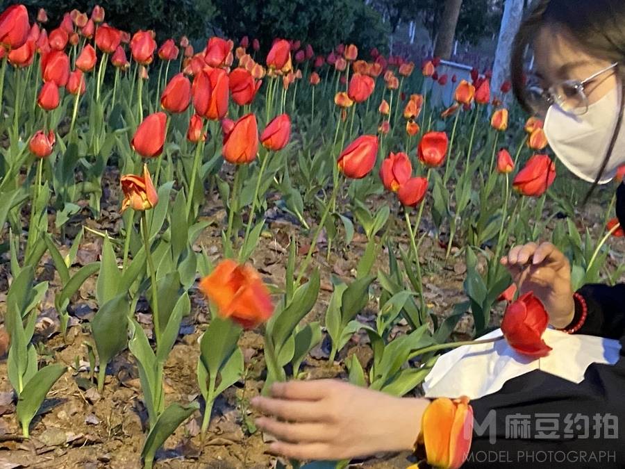 清新模特