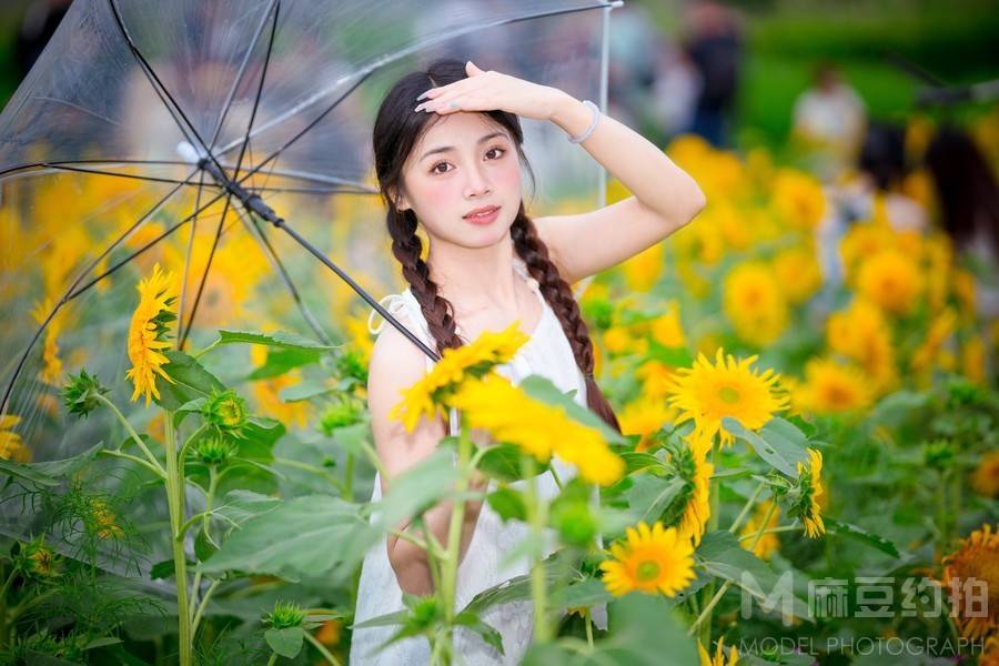 清新模特