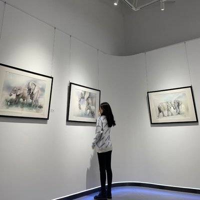 淘宝模特
