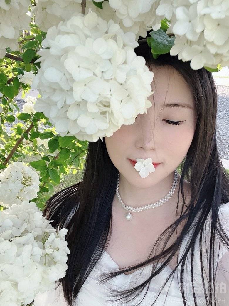 清新模特