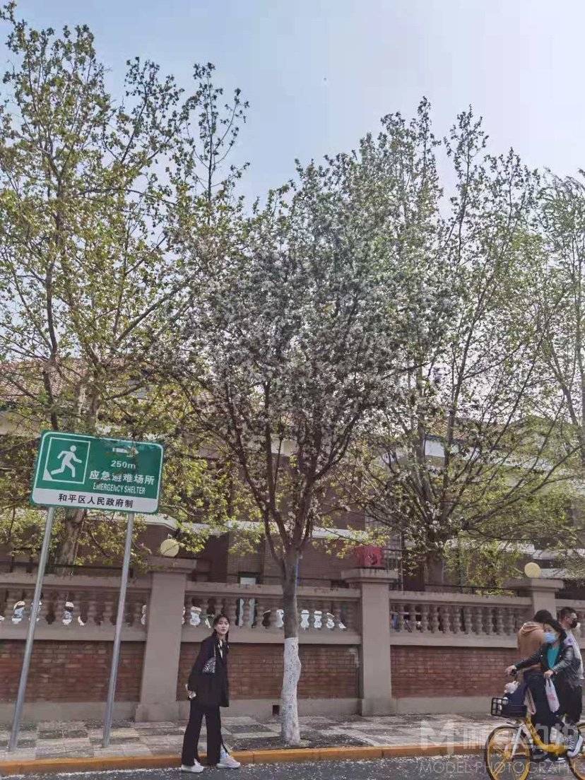 民国模特