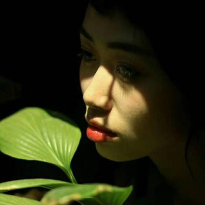 胶片模特