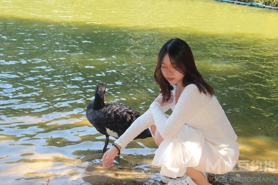 清新模特