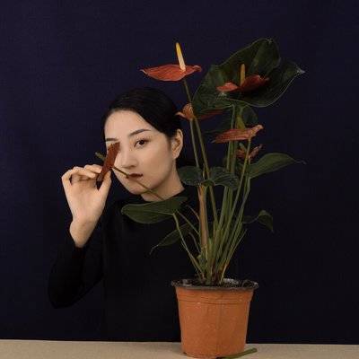 情绪模特