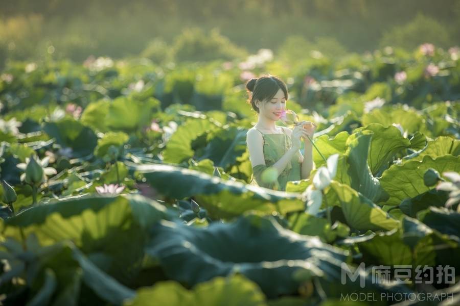 清新模特