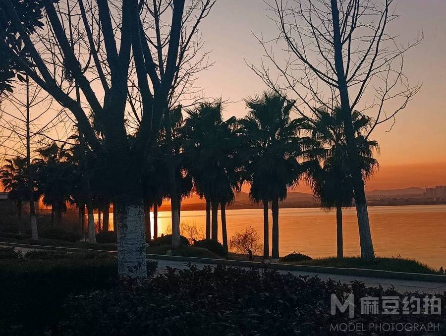 夜景模特