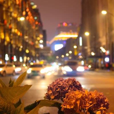 夜景模特