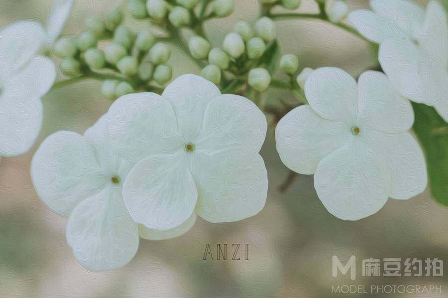 森系模特