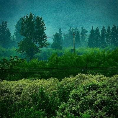 森系模特
