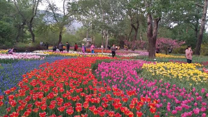 北京植物园