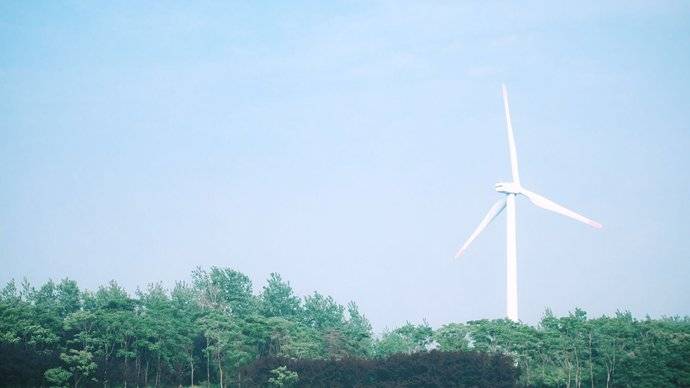 上海滨海森林公园