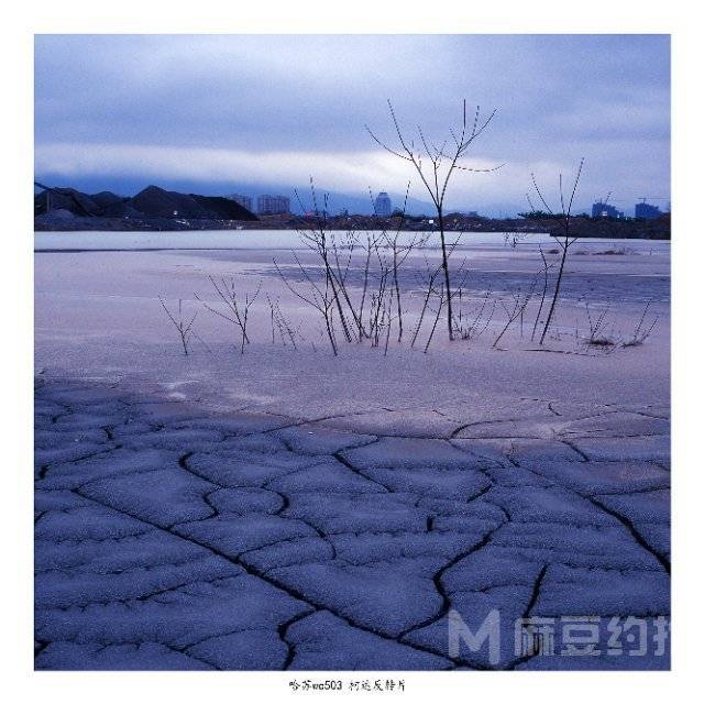 胶片模特