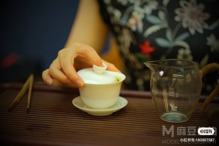 胶片模特