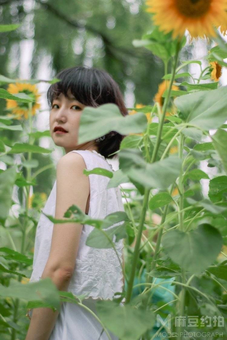 清新模特