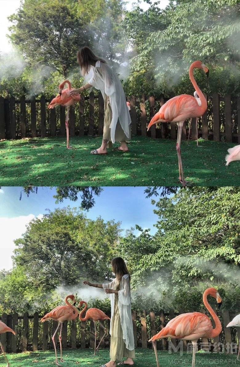 妆容模特