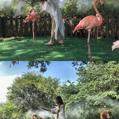 妆容模特