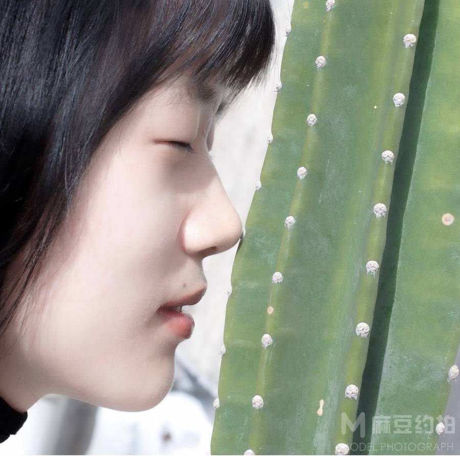 胶片模特