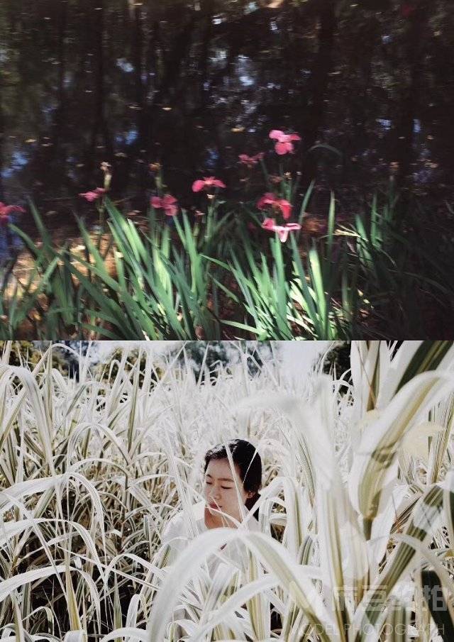 黑白模特