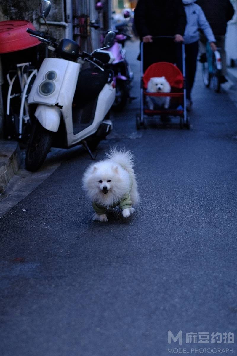 纪实模特