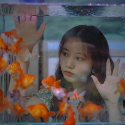 清新模特