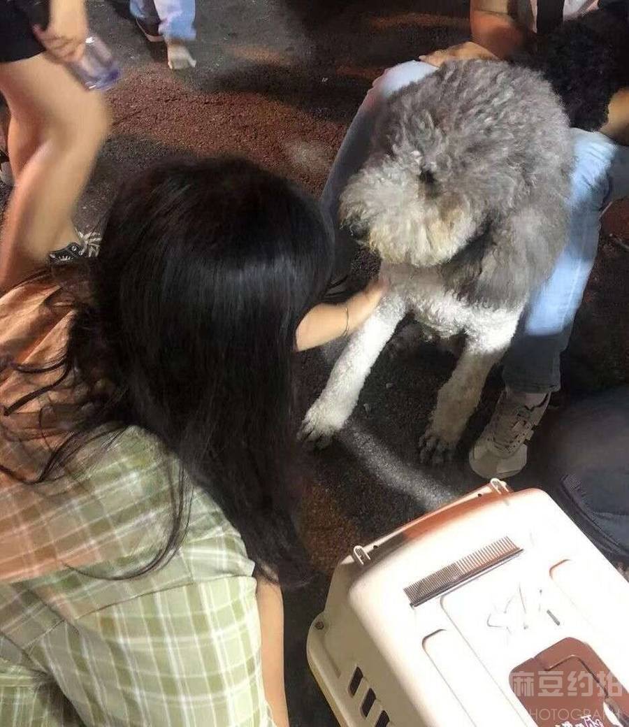 黑白模特