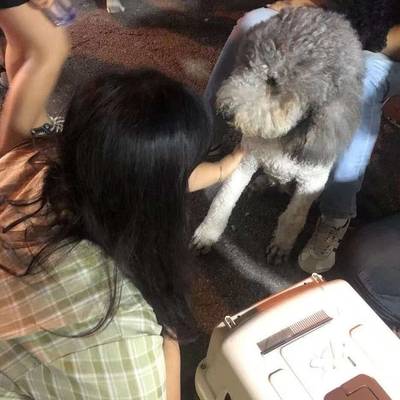 黑白模特