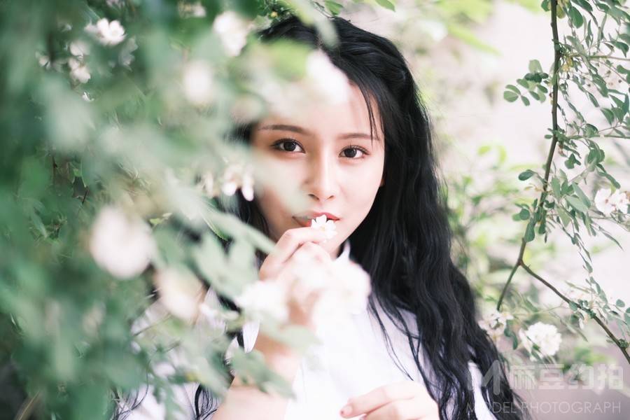 清新模特