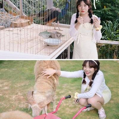 胶片模特