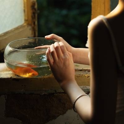 情绪模特