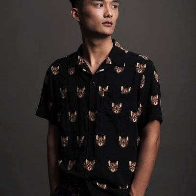 孕照模特