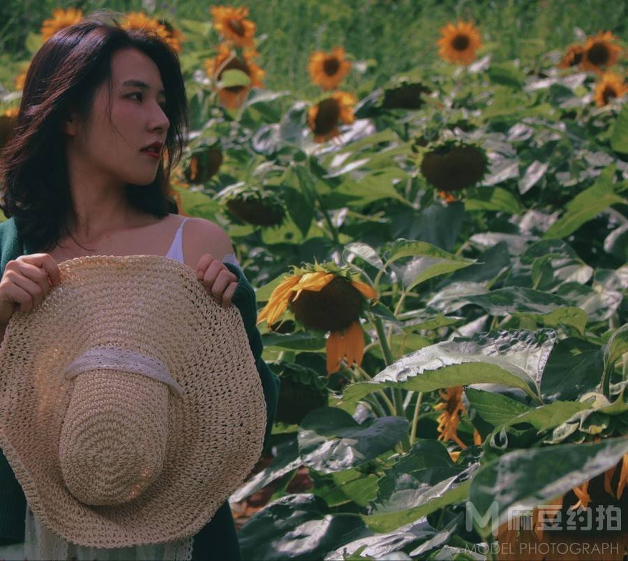清新模特