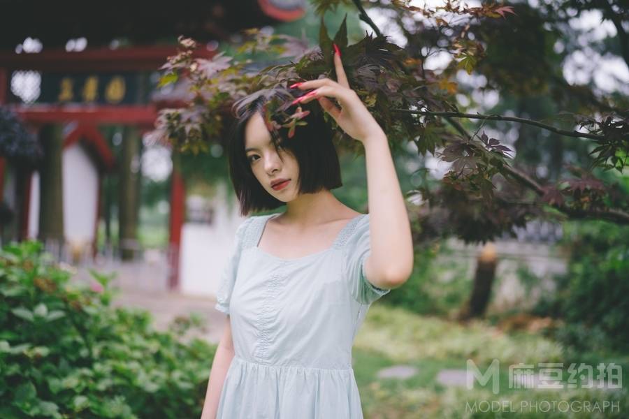 清新模特
