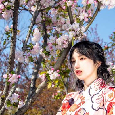 和服模特