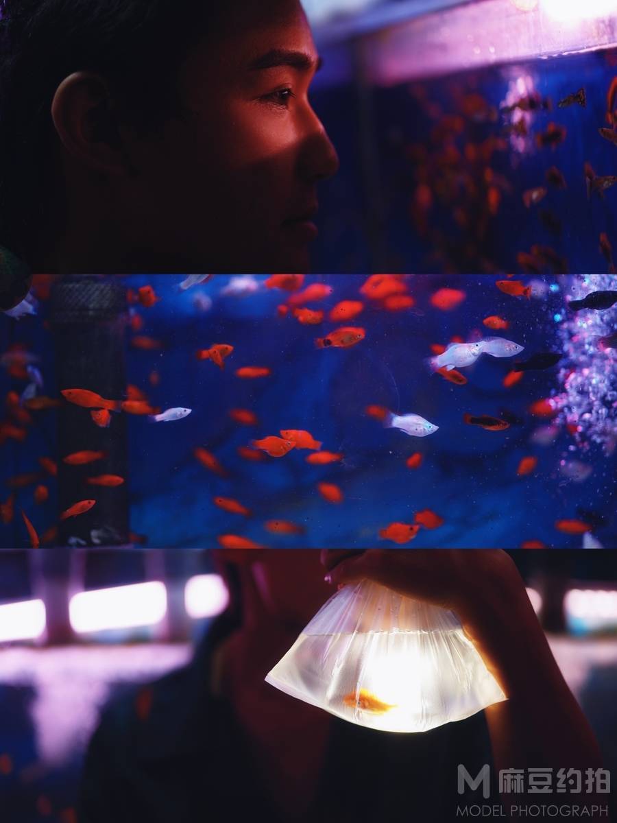 清新模特