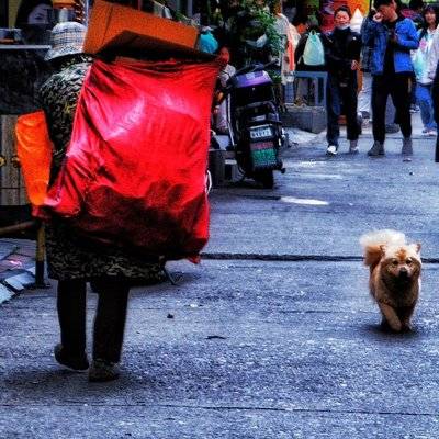 纪实模特