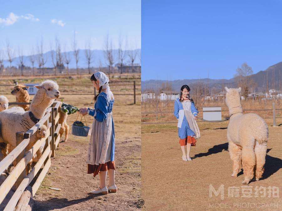少女模特