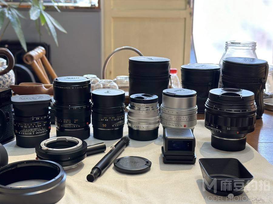 胶片模特