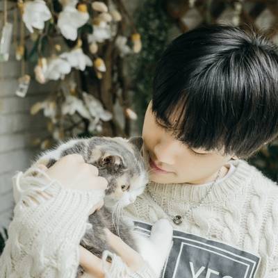 清新模特