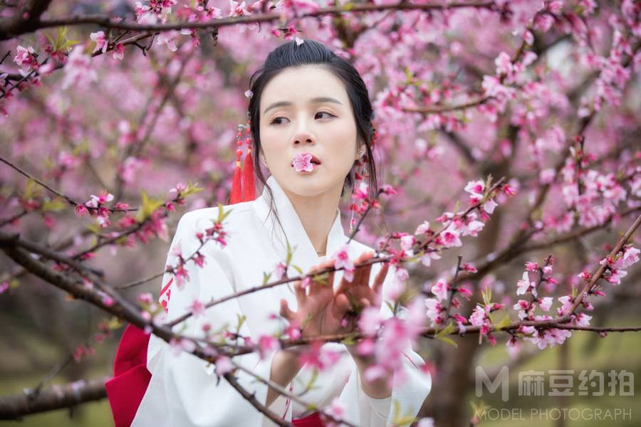 商务模特