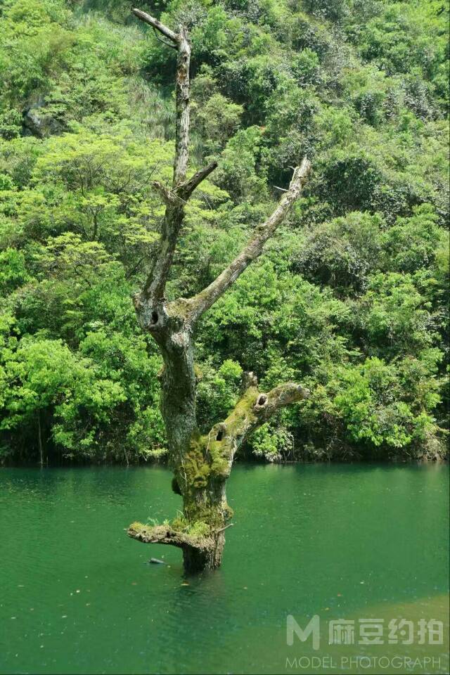 纪实模特