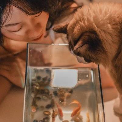 孕照模特