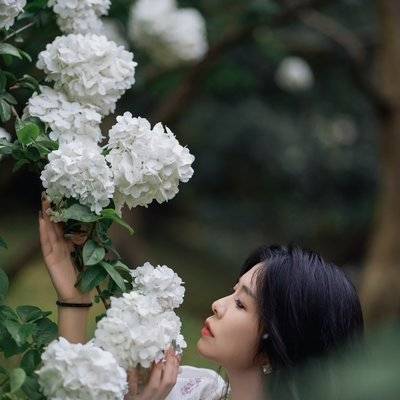 韩系模特